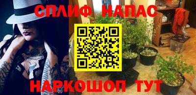 ECSTASY Будённовск