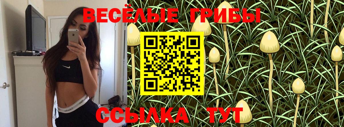 Псилоцибиновые грибы GOLDEN TEACHER  Вход с VPN  Ноябрьск 