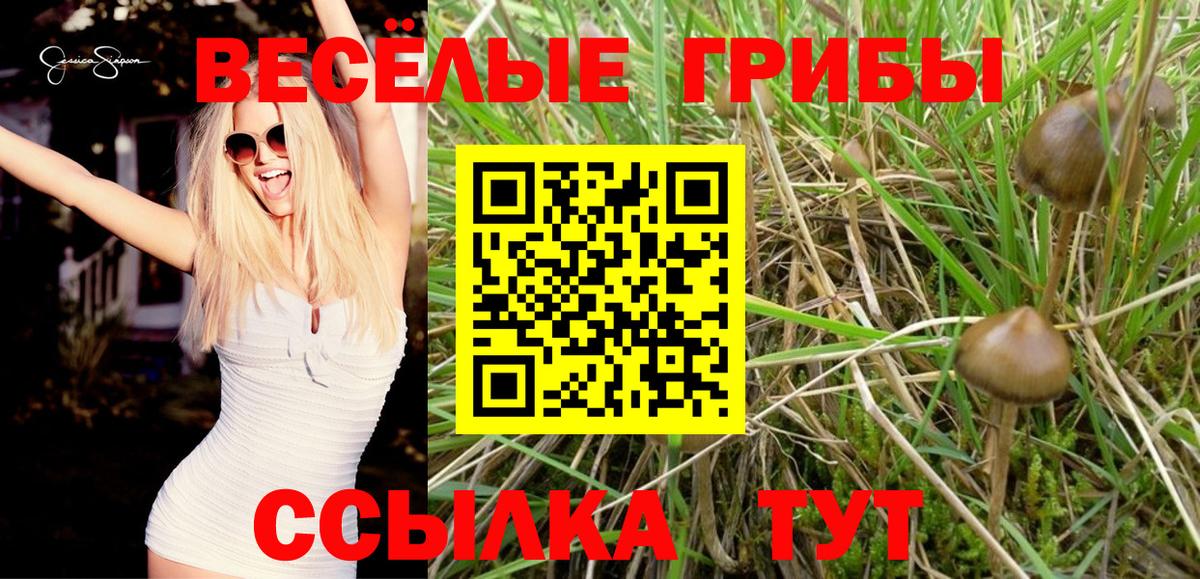 МЕФ   ГАШИШ  МАРИХУАНА  Кокаин  Ноябрьск  LSD-25  Канабис  A PVP СОЛЬ кристаллы  Вход с VPN 
